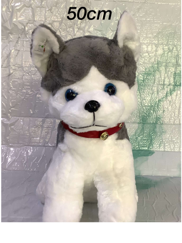 LODER E BUT QENUSH 50 CM