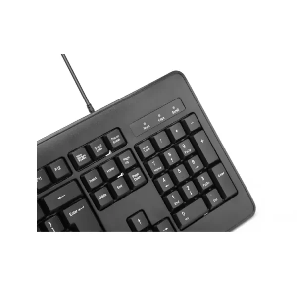  - Image 4