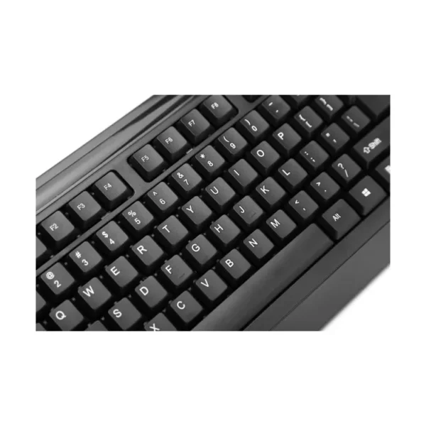  - Image 3